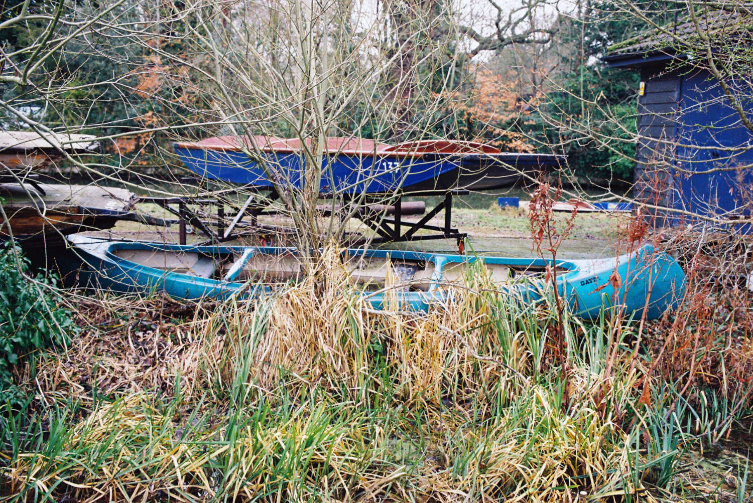 Blue canoe in foilage.