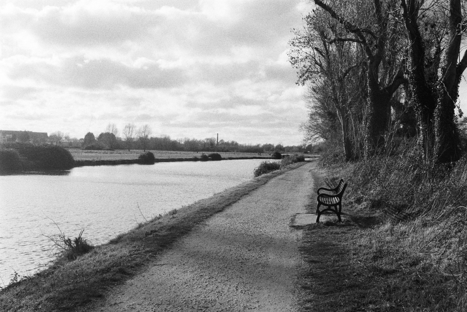 Ditton Meadows North Bank View