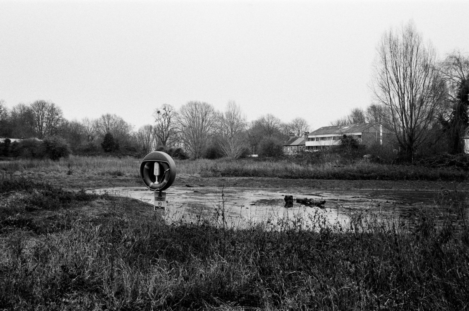 Logan's Meadow Large Puddle