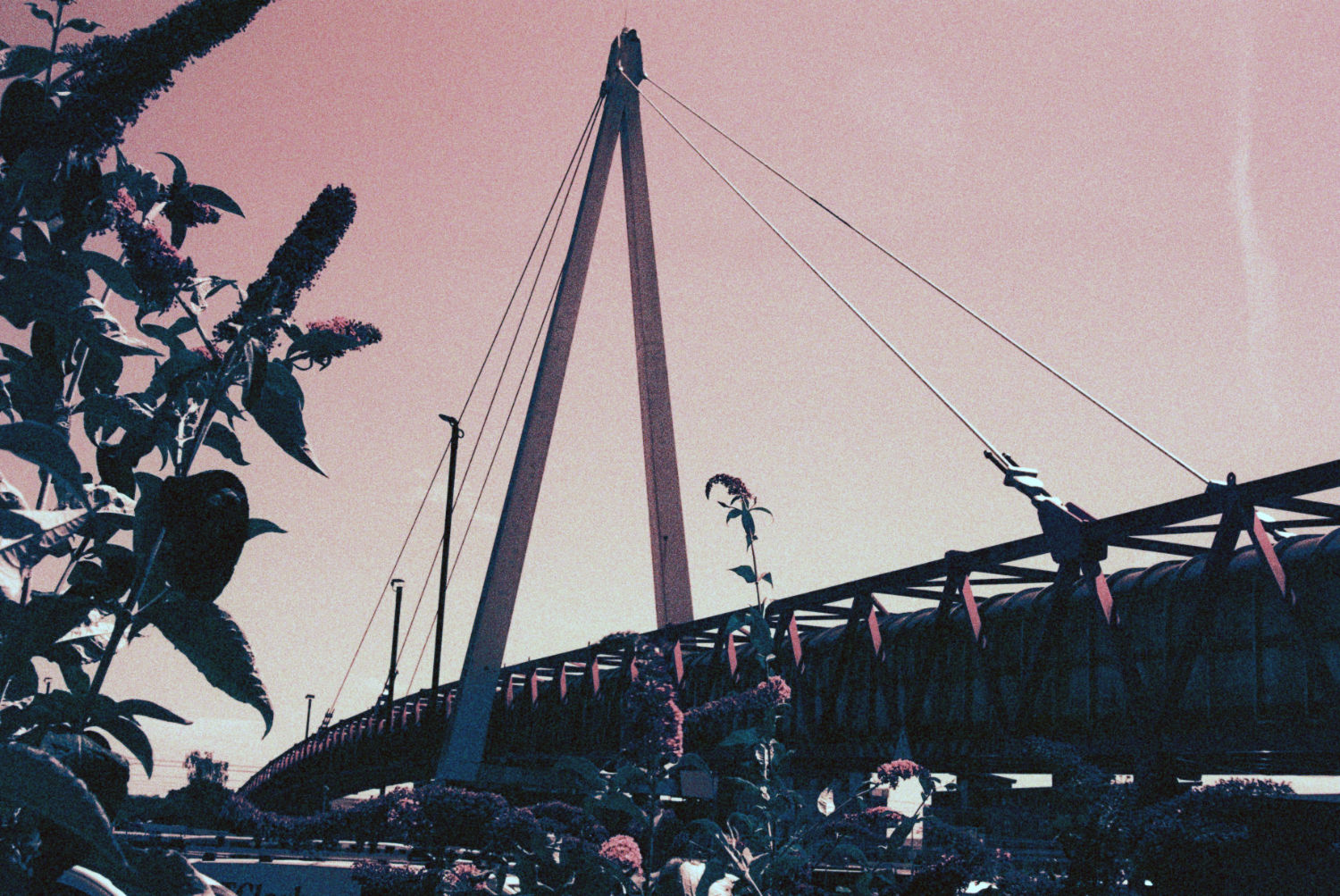 Carter Bridge
