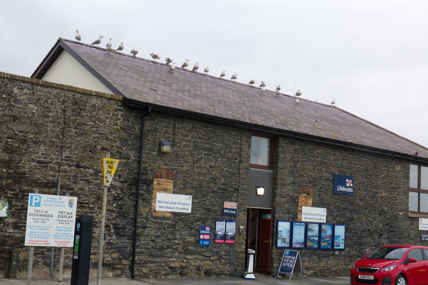 Aberystwyth RNLI shop with seagulls on roof.