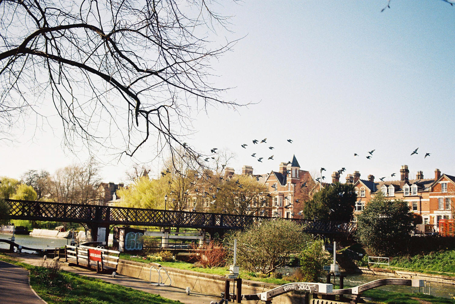 Birds in flight by Jesus Lock.
