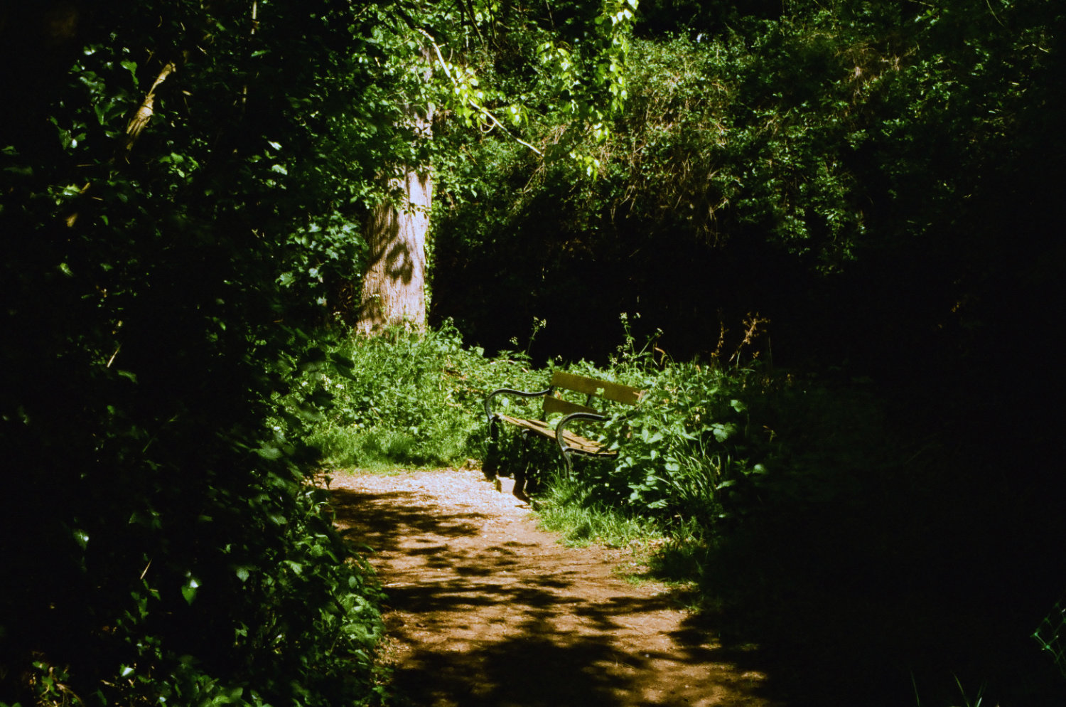 Bench in Brooklands.